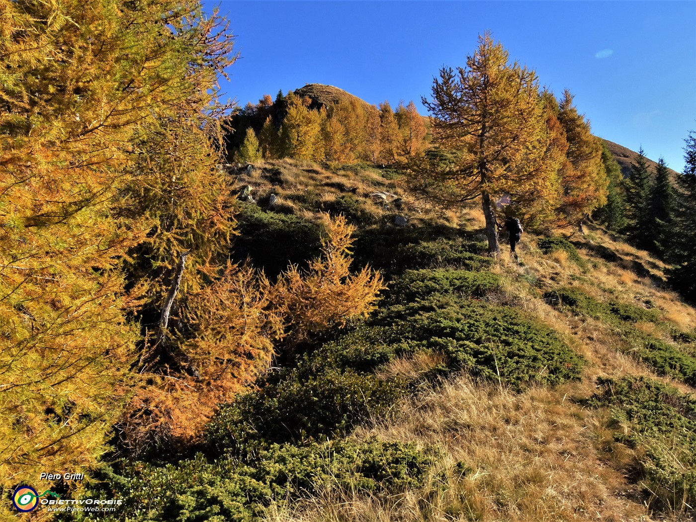 20 Seguiamo con attenzione sentierino tra larici colorati d'autunno baciati dal sole.JPG